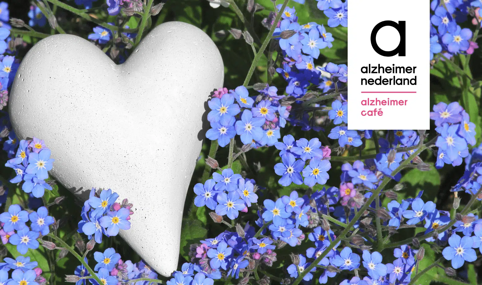 Nieuws afbeelding Speciale bijeenkomst Alzheimer café: Levenseinde bij Dementie