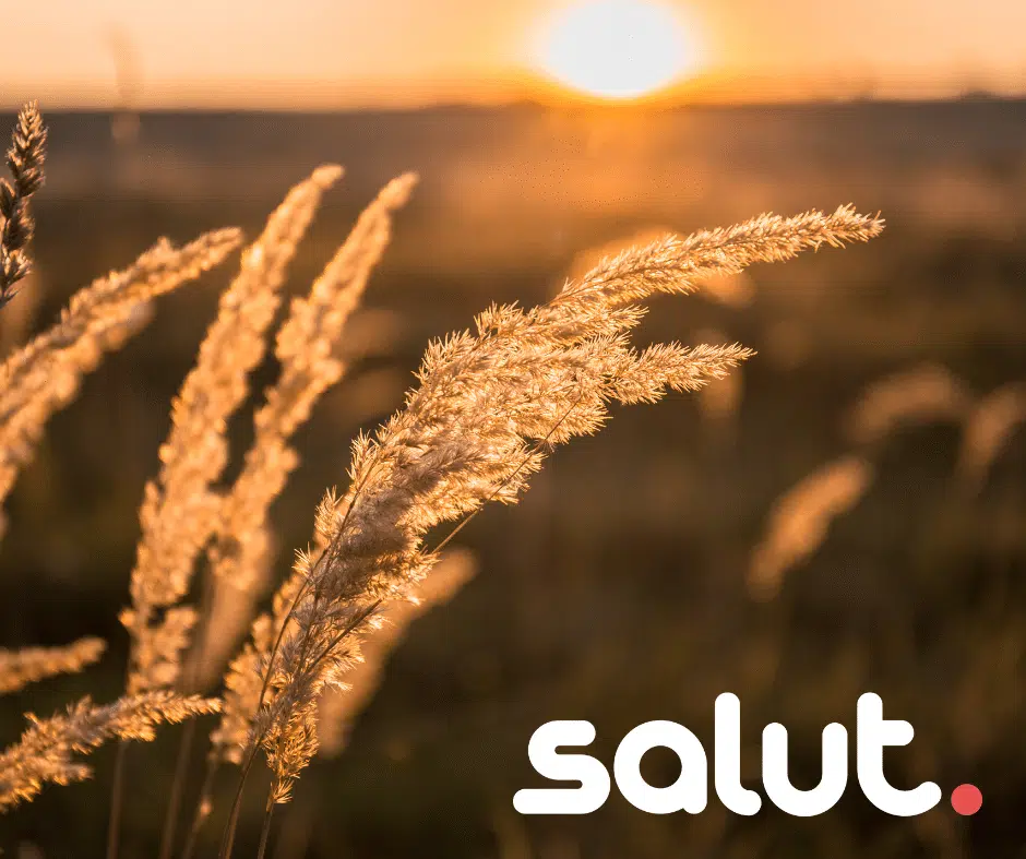 Nieuws afbeelding: Nog enkele plekken beschikbaar bij Rouwgroep ‘verder zonder jou’