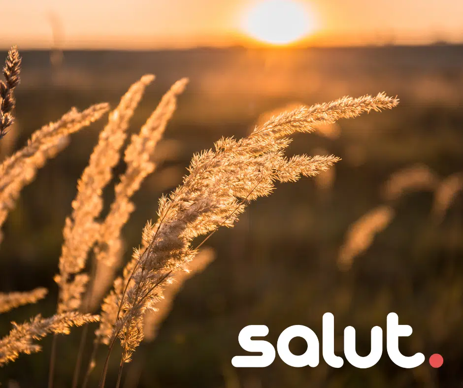 Nieuws artikel afbeelding Verder zonder jou - Rouwgroep